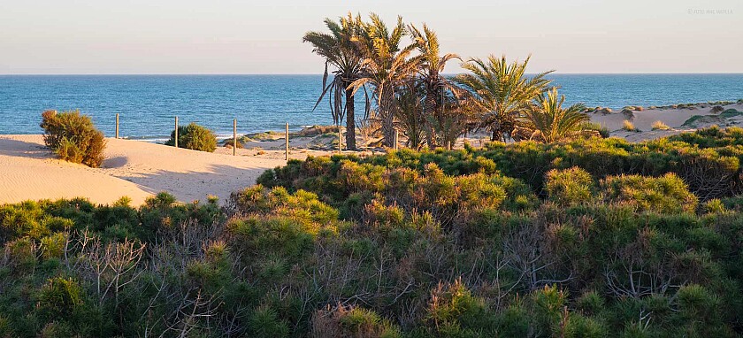 De Santa Pola a La Mata